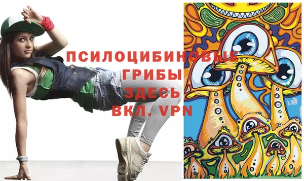 ешки Бородино