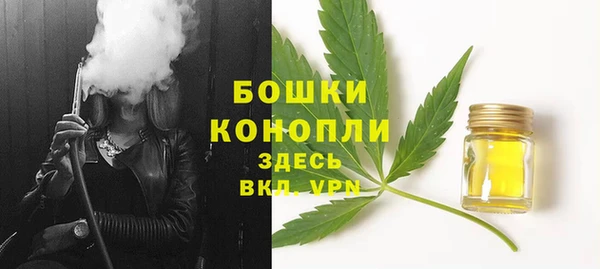 2c-b Богородицк