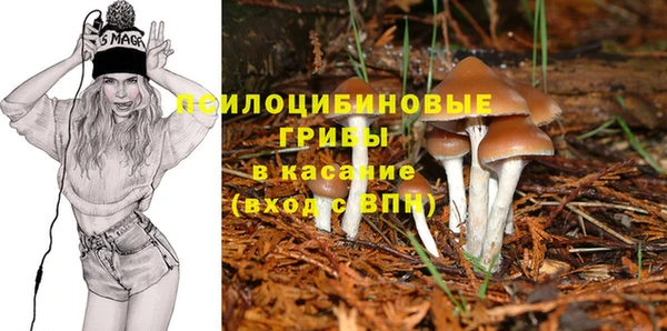 синтетический гашиш Богородск