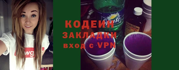 ешки Бородино