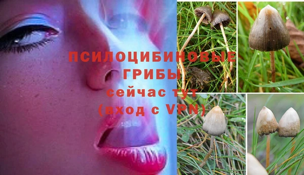дживик Бронницы
