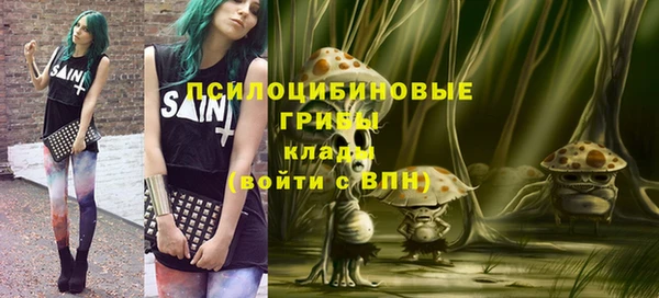 ешки Бородино