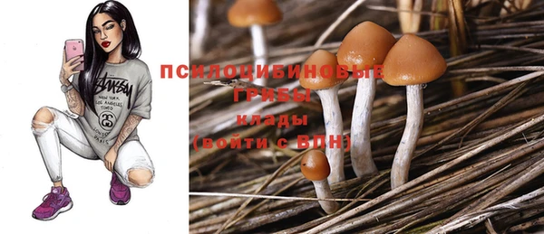 ешки Бородино