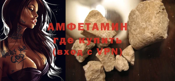дживик Бронницы