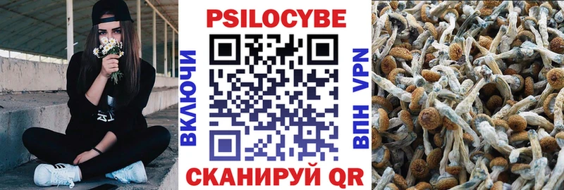 Псилоцибиновые грибы мицелий Колпашево